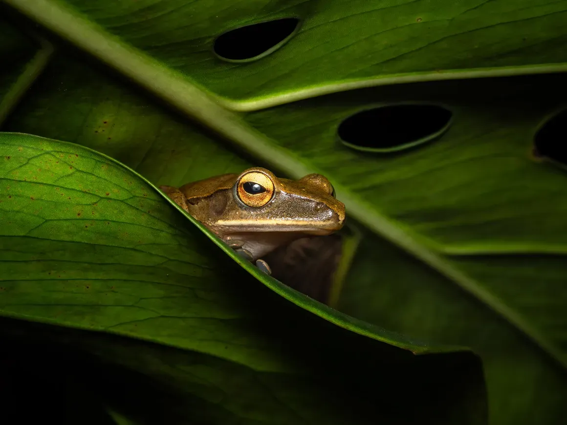 imgi_9_Nature_1869224592 ADOBE STOCK